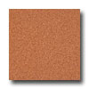 Armstrong Armstrong Medintech Homogeneous Orange Zest Vinyl Flooring