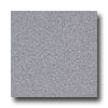 Armstrong Armstrong Medintech Tandem Inlaid Wild Lavender Vinyl Flooring