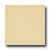 Armstrong Armstrong Medintech Tandem Inlaid Golden Glow Vinyl Flooring