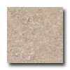Armstrong Armstrong Classic Collection Gothic Stone Ii Mineral Beige Vinyl