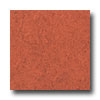 Armstrong Armstrong Marmorette With Naturcote Mango Vinyl Flooring