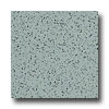 Armstrong Armstrong Excelon Stonetex Premium Slate Green Vinyl Flooring