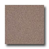 Armstrong Armstrong Medintech Tandem Inlaid Smoketree Brown Vinyl Flooring
