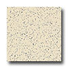 Armstrong Armstrong Excelon Stonetex Premium Limestone Beige Vinyl Floorin