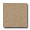 Armstrong Armstrong Connection Corlon Fall Brown Vinyl Flooring