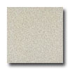 Armstrong Armstrong Medintech Tandem Inlaid Natural Gray Vinyl Flooring