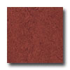 Armstrong Armstrong Marmorette With Naturcote Aztec Red Vinyl Flooring
