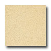 Armstrong Armstrong Medintech Homogeneous Golden Glow Vinyl Flooring