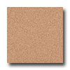 Armstrong Armstrong Medintech Tandem Inlaid Fired Clay Vinyl Flooring