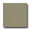 Armstrong Armstrong Medintech Homogeneous Tea Garden Green Vinyl Flooring