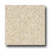 Armstrong Armstrong Excelon Imperial Texture Sandrift White Vinyl Flooring