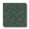 Crossville Crossville Cross-colors Lp 6 X 6 Polished Snowpine Tile  &  Stone