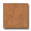 Armstrong Armstrong Marmorette With Naturcote Corkwood Vinyl Flooring