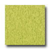 Armstrong Armstrong Excelon Standard Rave Kickin Kiwi Vinyl Flooring