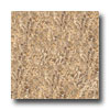 Armstrong Armstrong Marmorette With Naturcote Light Chocolate Vinyl Floori