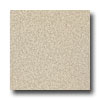 Armstrong Armstrong Medintech Homogeneous Shoreline Vinyl Flooring