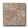 Armstrong Armstrong Initiator - Carlisle 12 Mocha Vinyl Flooring