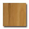 Tarkett Tarkett Escapade Modern Sycamore Honey Laminate Flooring