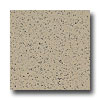 Armstrong Armstrong Excelon Stonetex Premium Dusty Khahi Vinyl Flooring