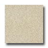 Armstrong Armstrong Connection Corlon Light Gold Vinyl Flooring