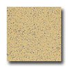 Armstrong Armstrong Excelon Stonetex Premium Bamboo Yellow Vinyl Flooring