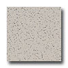 Armstrong Armstrong Excelon Stonetex Premium Pebble Gray Vinyl Flooring