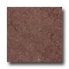 Armstrong Armstrong Marmorette With Naturcote Cocoa Brown Vinyl Flooring