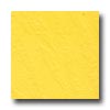 Roppe Roppe Slate Design 991 Series Sunflower Rubber