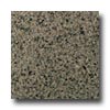 Daltile Daltile Granite 12 X 12 Silver Sea Green Tile  &  Stone