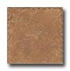 Cerdomus Cerdomus Pietra D Assisi 16 X 24 Ocra Tile  &  Stone