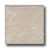 Cerdomus Cerdomus Pietra D Assisi 12 X 12 Bianco Tile  &  Stone