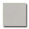 Marazzi Marazzi Le Cromie Polished 12 X 12 Ossidiana Tile  &  Stone
