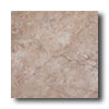 Cerdomus Cerdomus Tuscany 13 X 13 Desert Tile  &  Stone