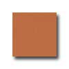 Interceramic Interceramic Bold Tones 6 X 6 Terra Cotta Tile  &  Stone