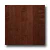 Somerset Somerset Maple Collection Strip 2 1 / 4 Solid Ebony Hardwood Floor