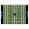 Milliken Milliken Carolina Panthers 11 X 13 Carolina Panthers Field Area