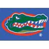 Milliken Milliken University Of Florida 4 X 5 University Florida Area Rug