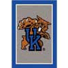 Milliken Milliken University Of Kentucky 3 X 4 University Kentucky Area R