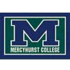 Milliken Milliken Mercyhurst College 3 X 4 Mercyhurst College Area Rugs