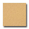 Armstrong Armstrong Medintech Homogeneous Ginger Vinyl Flooring