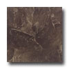 Daltile Daltile Navelli 10 X 13 Ambrato Brown Tile  &  Stone