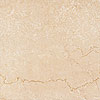 Megatrade Corp. Megatrade Corp. Pietra Italiana 18 X 18 Bottesino Classico Tile