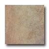 Italgres Italgres Buxy 10 X 13 Natural Tile  &  Stone