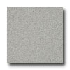 Armstrong Armstrong Possibilities Petit Point Ash Gray Vinyl Flooring