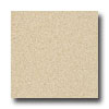 Armstrong Armstrong Possibilities Petit Point Brushed Sand Vinyl Flooring