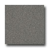 Armstrong Armstrong Possibilities Petit Point Charcoal Gray Vinyl Flooring