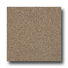 Armstrong Armstrong Possibilities Petit Point Chocolate Delite Vinyl Floor
