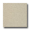 Armstrong Armstrong Possibilities Petit Point Cream Hint Vinyl Flooring