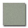 Armstrong Armstrong Possibilities Petit Point Eastern Sage Vinyl Flooring