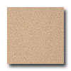 Armstrong Armstrong Possibilities Petit Point Ginger Peach Vinyl Flooring